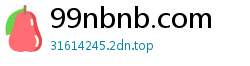 99nbnb.com